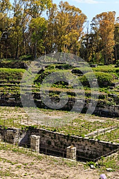 Old grown with grass stairs of Ancient ruins of Anfiteatro Romano Siracusa