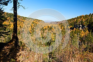 The old-growth forest in canyon of Changbai Mountains