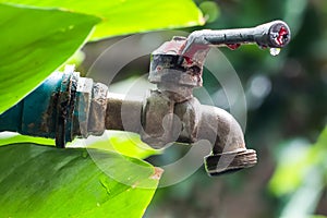 Old and grunge brass faucet and water drop on green bokeh from t