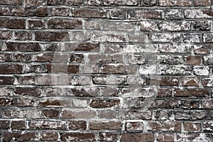 Old grunge brick wall background