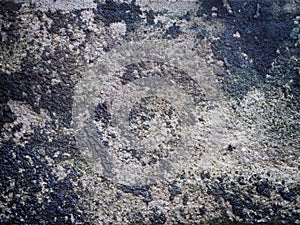 Old grunge concrete wal