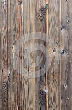 Old grunge dark brown wood panel pattern with beautiful abstract grain surface texture, vertical striped background or backdrop i