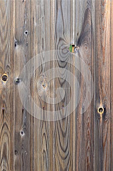 Old grunge dark brown wood panel pattern with beautiful abstract grain surface texture, vertical striped background or backdrop i