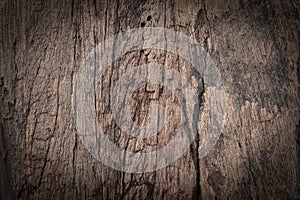 Old grunge dark textured wooden background , The surface of the old brown wood texture , top view wood paneling