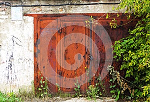 Old grunge metal doors of garage made of bricks with plants grew around on spring summer season vintage retro style