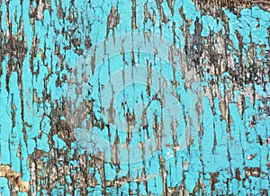 Old grunge rustic wooden texture background with blue color cracked weathered paint