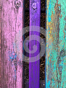 Old grunge vintage background: color wood surface with gray green purple paint flaking