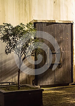 The old grunge wood door with the shade and shadow of the tree on the grunge wall at the night time