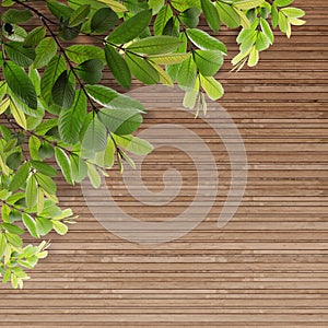 Old grunge Wood Texture with leaves
