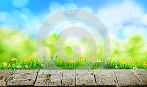 Old grunge wooden floor and spring grass background