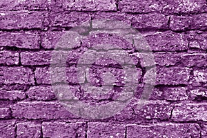 Old grungy brick wall texture in purple tone