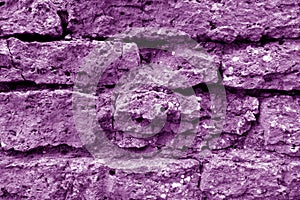 Old grungy brick wall texture in purple tone