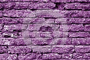 Old grungy brick wall texture in purple tone