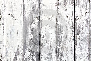 Old grungy and weathered white grey painted wooden wall plank texture background
