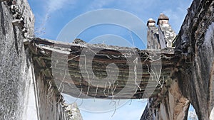 Old Hacienda beamed roof with this soil and dead plant in Mexico sunshine blue