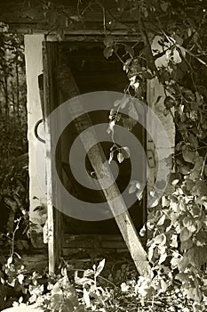 Old half-abandoned Door to the basement-cellar on the farm, black-and-white photo, Sepia.