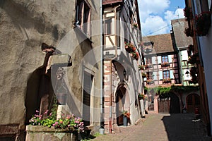 old half-timbered houses - riquewihr - france