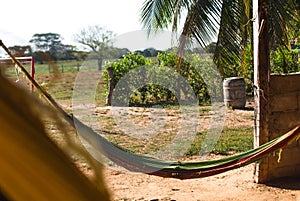Old hammock in a farm. photo