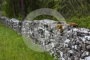 An old handmade stone fence in Swedish counrtyside