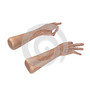 Old hands on a white. 3D illustration