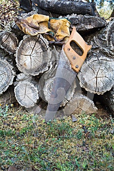 Old handsaw resting on a pile of wooden lumber