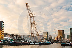 Old harbor in the center of Rotterdam