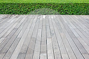 Old hardwood decking or flooring and plant in garden decorative