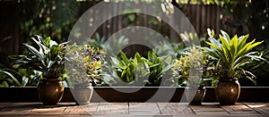 Old hardwood decking, plant in garden decorative background , copy space above
