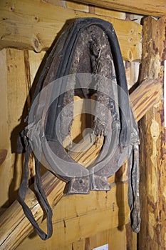 Old harness for horses. clamp