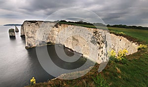 Old Harry gulf - Dorset coast, England