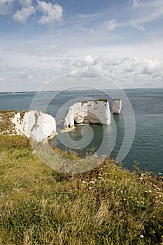 Old Harry Rocks, Chalk stacks, Swanage Dorset England