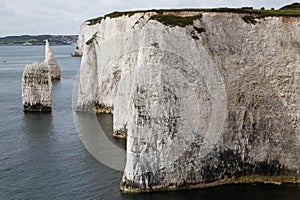 Old Harry Rocks, Chalk stacks, Swanage Dorset England