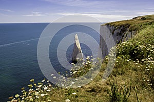 Old Harry Rocks, Dorset, England, UK