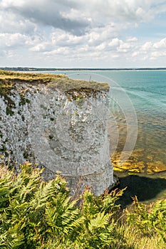 Old Harry Rocks near Bournemouth in South England