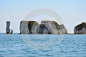 Old Harry Rocks Studland Dorset