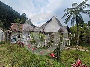 Old Hause somewhere in Jogjakarta