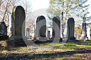 Old headstones backlight on late winter day