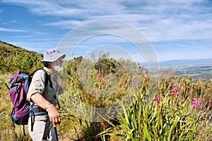 Old hiker, wild flowers, blue mountains