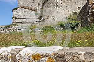 Old Historic Building With Colorful Budding Wild Flowers