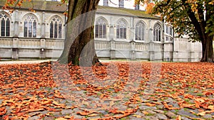 Old Historic Buildings With Colorful Autumn Falling Leaves