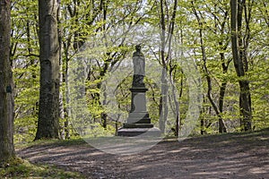 Old historic chestnut alley in Chotebor during spring season, trees in two rows, romantic scene