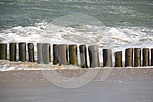 Old historical wooden pier logs in Baltic sea  Curonian spit