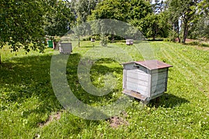 Old hives in garden