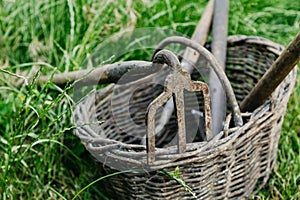 Old hoe of  original form lies on  wicker basket