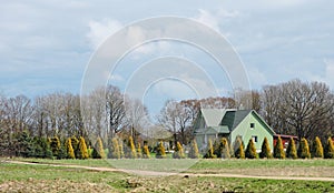 Old homestead , Lithuania