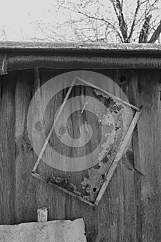 Old honeycomb frame hangs on the barn wall