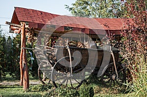 An old horse cart decorated with onion ropes