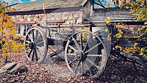 Old horse cart in Hahndorf during autumn season