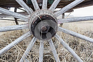 Old horse cart wagon wheel