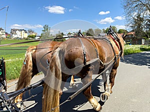 Old horse-drawn carriage in a village with blue sky